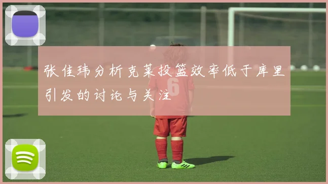 张佳玮分析克莱投篮效率低于库里引发的讨论与关注
