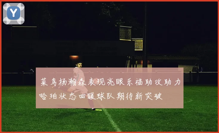菜鸟杨瀚森表现亮眼乐福助攻助力哈珀状态回暖球队期待新突破