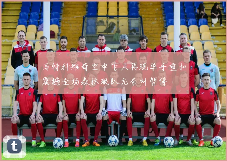 马特科维奇空中飞人再现单手重扣震撼全场森林狼队无奈叫暂停