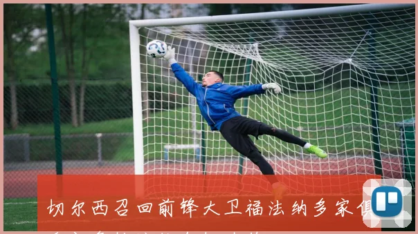 切尔西召回前锋大卫福法纳多家俱乐部争抢这位年轻才俊
